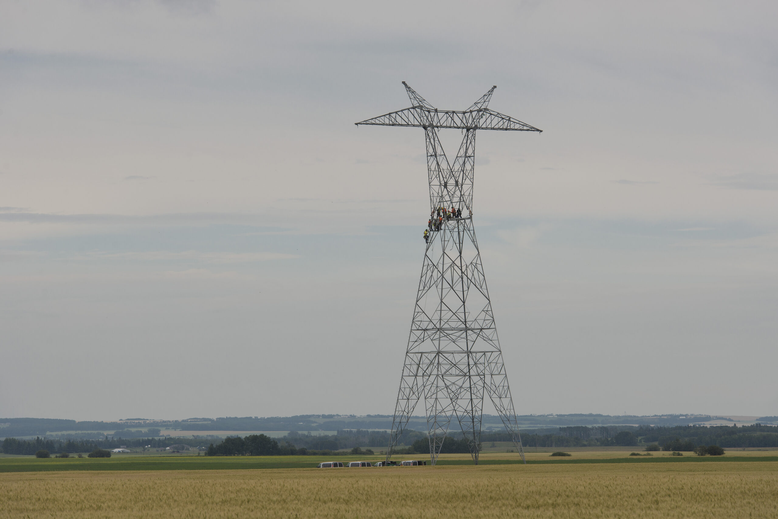 western alberta transmission line