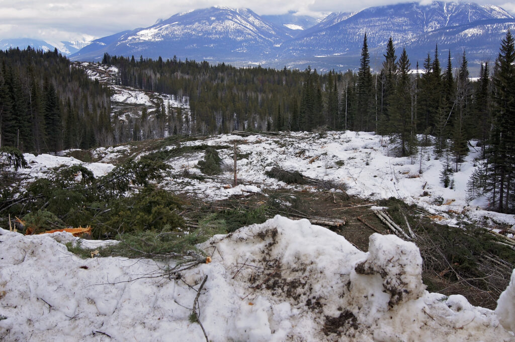 Environmental Management & Compliance - Columbia Valley - Forbes Bros.